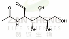 N-乙酰氨基葡萄糖